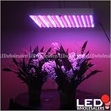 Outdoor Living : 12 Volt DC Hydroponic 225 LED Grow Light Panel Red Blue