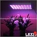 12 Volt DC Hydroponic 225 LED Grow Light Panel Red Blue