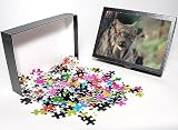 Photo Jigsaw Puzzle of Lynx, Lynx canadensis, from Danita Delimont