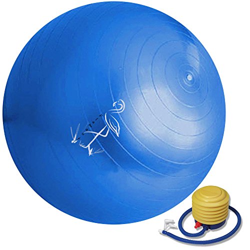 Exercise Ball 65cm - Anti-Burst Yoga Ball - For ab Workout - Foot Pump Included