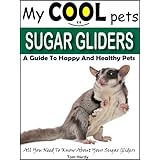My Cool Pets: Sugar Gliders - All You Need To Know About Sugar Gliders