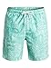 Quiksilver Waterman Men's Kiko Volley Short