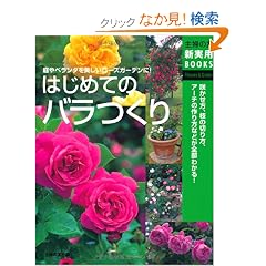 �͂��߂Ẵo���Â���\�炩�����A�}�̐؂���A�A�[�`�̍������킩��! (��w�̗F�V���pBOOKS)