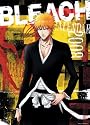 2008 "BLEACH" Calendar (In Japanese)
