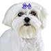 Aria Gracie Bows for Dogs, 48-Piece Canisters