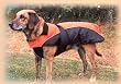 Tcoat Nizza, Hundemantel, XL, 80 cm, orange-schwarz
