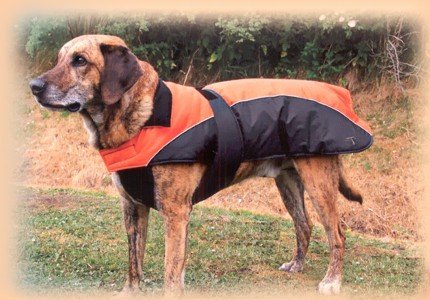 Tcoat Nizza, Hundemantel, M, 45 cm, orange-schwarz