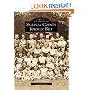 Sullivan County's Borscht Belt   (NY)  (Images of America)