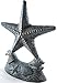 Iron Starfish Doorstop Verdigris & Gold Finish