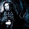 Bild des Albums von Cephalic Carnage