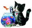 Splash! Shaped 1000pc Jigsaw Puzzle by Giordano Studios