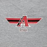 Nike Arizona Diamondbacks Youth Crimson Seasonal Mesh Shorts