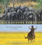 Produkt-Bild: Die Savanne erwacht: Wenn der Regen kommt in Afrika