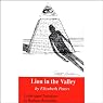 Lion in the Valley: The Amelia Peabody Series, Book 4