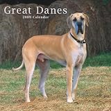 Great Danes (International) 2009 Wall Calendar 12 X 12