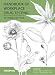 Handbook of Workplace Drug Testing, 2nd Edition