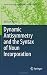 Dynamic Antisymmetry and the Syntax of Noun Incorporation (Studies in Natural Language and Linguistic Theory)