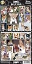 Pet Qwerks S44 Welsh Corgi Dog Sticker