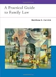 Practical Guide to Family Law