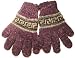 Pure Wool Artisan Gloves - Andean Purple (Men/Women)
