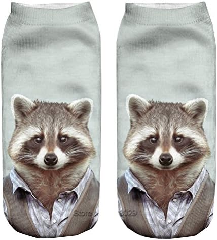 Raccoon 3D Print Animal women Socks Casual Unisex Low Cut Ankle