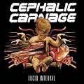 Lucid Interval