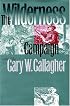 The Wilderness Campaign (Military Campaigns of the Civil War)