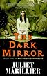 The Dark Mirror: Book One of the Bridei Chronicles