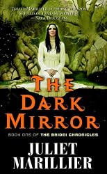 The Dark Mirror