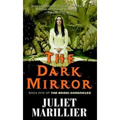 The Dark Mirror: Book One of the Bridei Chronicles