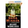 The Dark Mirror: Book One of the Bridei Chronicles