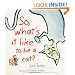 So, What's It Like to Be a Cat?