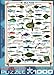 EuroGraphics Sea Fish 1000 Piece Puzzle (6000-0313)