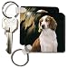 Dogs English Springer Spaniel - Welsh Springer Spaniel - Key Chains