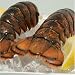 Maine Lobster Tails, Two 6 Ounces