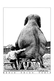  : My Pal The Elephant by Mike Hollist. Art Print Poster 15.75 inches width by 23.5 inches height. Highest Quality Art Poster Print
