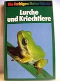 Lurche und Kriechtiere (137 europ&auml;ische Arten auf 320 Farbfotos) - G&uuml;nter Diesener / Josef Reichholf