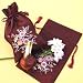 Paperwhite Ziva Half Dozen in a Merlot Embroidered Bag - 17+cm bulbs
