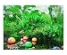 Scenic Tropical, Dale Chihuly, Glass blowing, expo Scenic Giclee Poster Print by Palm Images, 20x16
