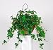 Artificial Maple Ivy Hanging Basket