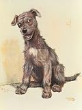 A Thoroughbred Mongrel by Cecil Aldin. Size 12.00 X 16.00 Art Poster Print