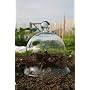 Glass Bell Jar - Medium