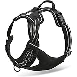 Chai's Choice Pet Products 13"-17" Best Front Range No-Pull Dog Harness, X-Small, Black