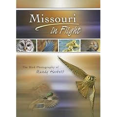 Missouri in Flight: The Bird Photography of Mundy Hackett