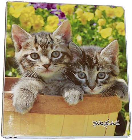 Ultimate Kitten Cat (Animal) Pet Themed 3 Ring Binder Notebook with 2 Matching Individual Pocket Folders School Supply Bundle - 3 Item Kit Set