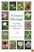 A Taste of Heritage: Crow Indian Recipes and Herbal Medicines (At Table)