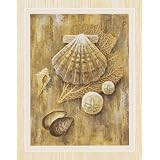 2 Sea Shell Art Prints Sand Dollar Posters Home Decor by wallsthatspeak