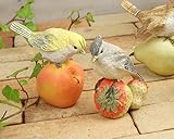 NOGAWA　【11114】フルーツバード4種セット