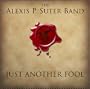 Just Another Fool