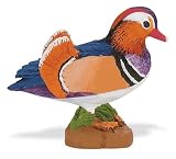 Safari: Mandarin Duck